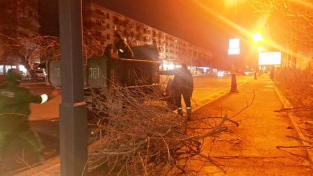 Son iki gündə güclü külək Bakıda 78 ağacı sındırıb - FOTOLAR