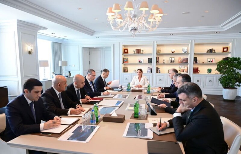 Birinci vitse-prezident Mehriban Əliyevanın sədrliyi ilə Rəqəmsal İnkişaf Şurasının ilk iclası keçirilib - FOTO