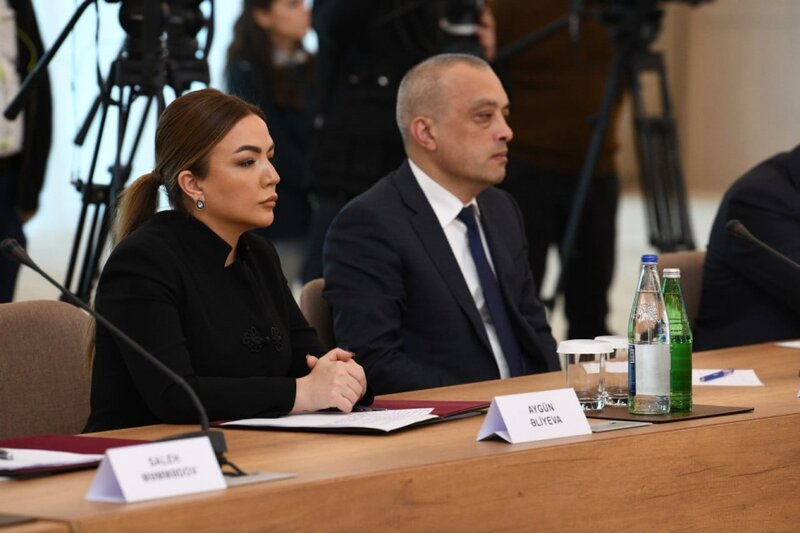 COP29 ilə əlaqədar Təşkilat Komitəsinin ilk iclası keçirildi - FOTOLAR