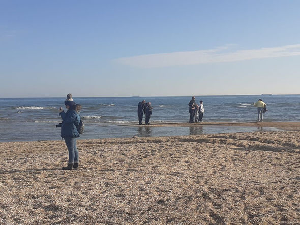 Bayram günlərində milli parkları ziyarət edən turistlərin sayı açıqlandı - FOTO