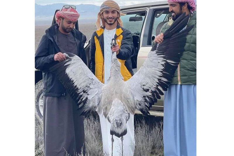Ərəb turistlər 4000 manat cərimələndi, qoruqda hərəkətləri qadağan edildi - Xidmət rəisi