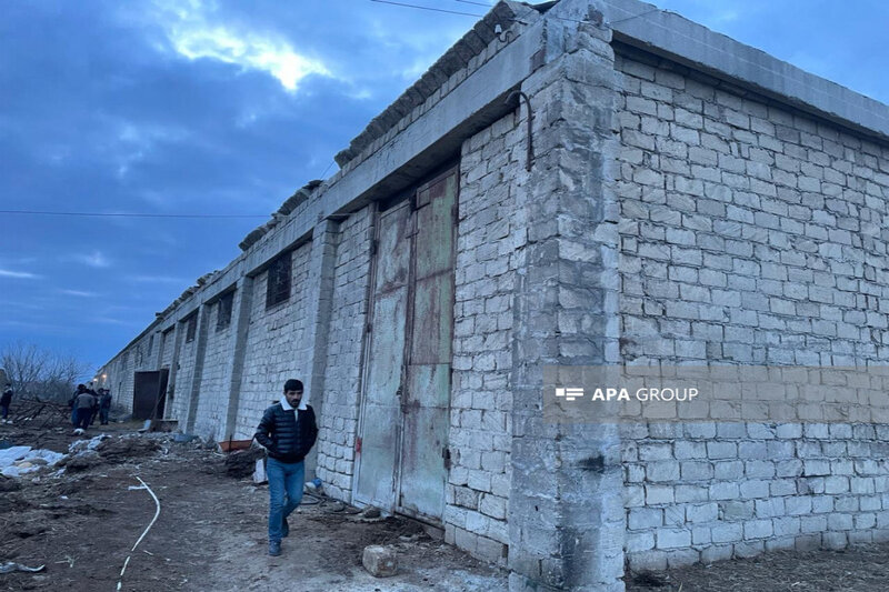 Ferma uçdu, 16 baş iribuynuzlu heyvan tələf oldu