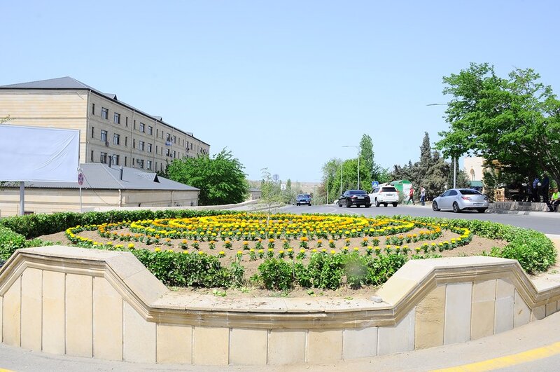 Naftalanda yaşıllaşdırma işləri davam etdirilir - FOTOLAR