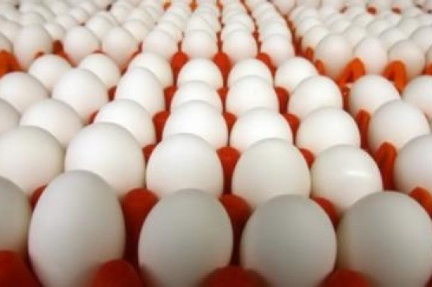 Hindistan sakini 50 yumurta yeməyə çalışarkən ölüb
