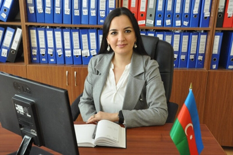 Lənkəranda kollecə yeni direktor təyin olundu