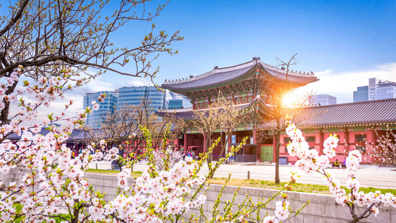 Cənubi Koreya xarici turistlər üçün ölkəyə giriş şərtlərini sadələşdirir