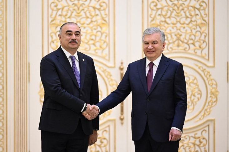 Rəşad Məmmədov etimadnaməsini Şavkat Mirziyoyevə təqdim etdi