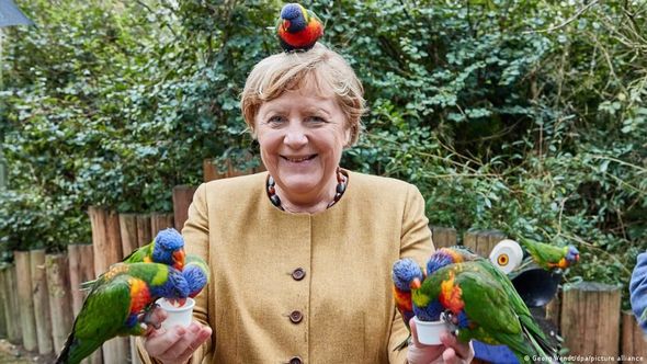 Merkel parkda quşları bəsləyərkən tutuquşunun 