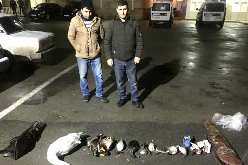 Şabranda qanunsuz ov edən şəxslər saxlanıldı