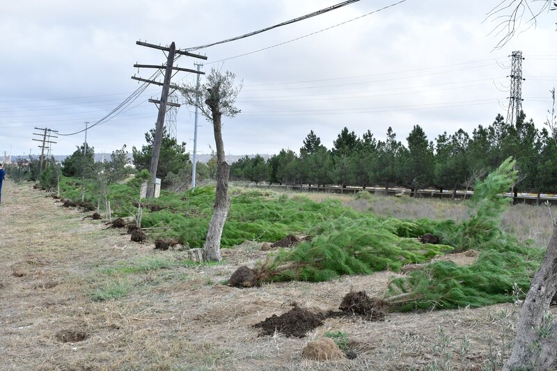 Abşeron rayonunda 