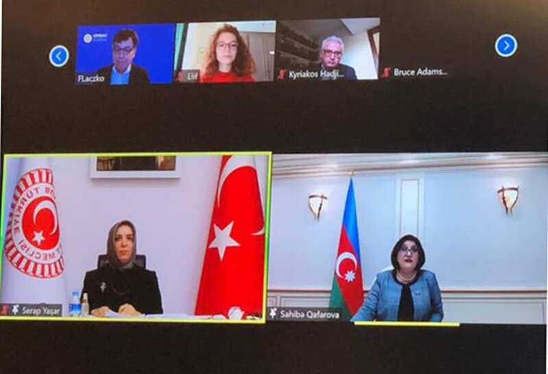 Sahibə Qafarova miqrant problemində beynəlxalq təşkilatların təsirsizliyini səbəb kimi görür - FOTO