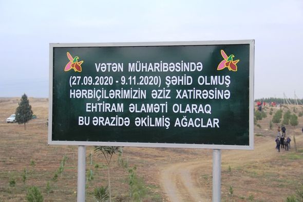 Gəncədə Vətən müharibəsi şəhidlərinin xatirəsinə 2783 ağac əkilib - FOTO