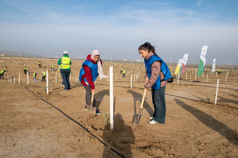 SOCAR Midstream' ağacəkmə aksiyası keçirdi - FOTOLAR