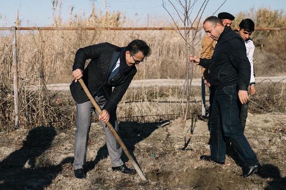 Ramin Məmmədov Sabirabadda ağacəkmə aksiyasında iştirak edib - FOTO