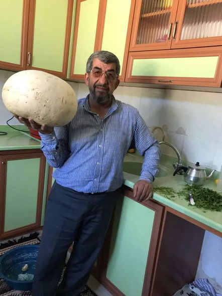 Çəmənlikdə 