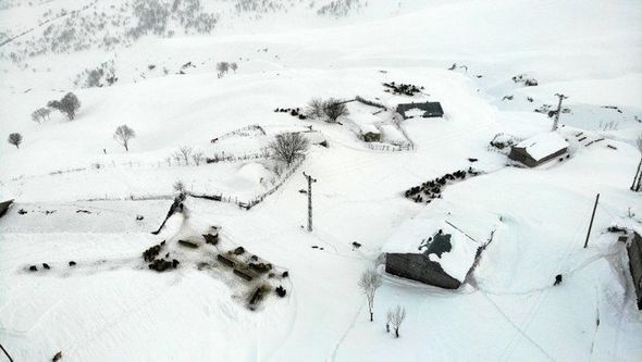 Türkiyədə kənd qarın atında qaldı: Evlərdən çıxmaq üçün tunel qazırlar - FOTO