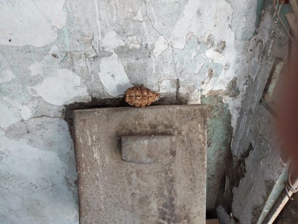 Bakıda əl qumbarası tapıldı - FOTO