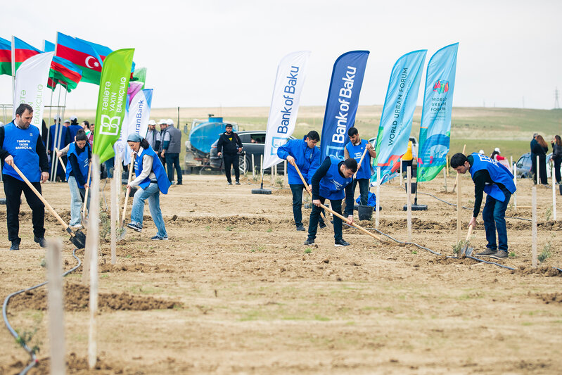 Bank of Baku-dan 1 milyon ağac hədəfinə dəstək - FOTOLAR
