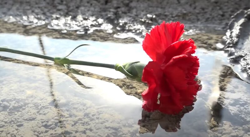 Narazılığa səbəb olan şəhid məzarlığı ilə bağlı son vəziyyət - VİDEO