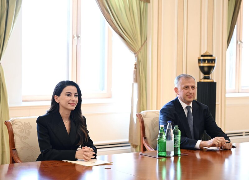 İlham Əliyev Gürcüstanın iqtisadiyyat və davamlı inkişaf nazirini qəbul etdi - FOTOLAR