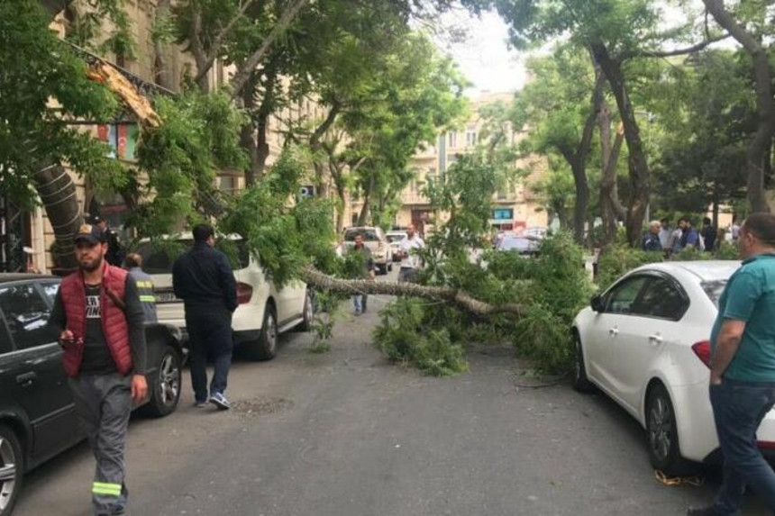 Bakıda külək ağacı avtomobillərin üzərinə aşırdı