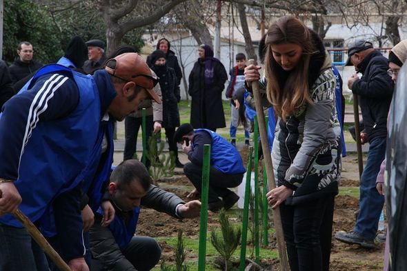 Könül Nurullayeva seçiciləri ilə birlikdə ağacəkmə aksiyası keçirib - FOTO