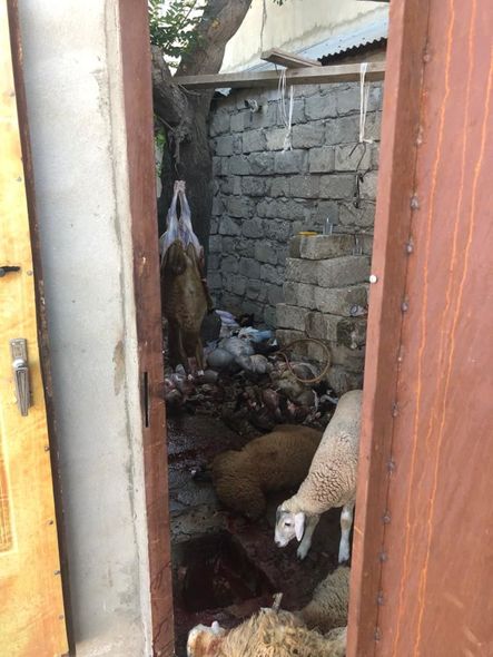 Polis qurbanlıq heyvanların satışının həyata keçirildiyi ərazilərdə reyd keçirdi - FOTO