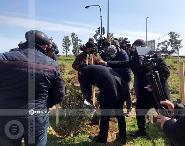 Nazir və agentlik sədri ağac əkdi - FOTO