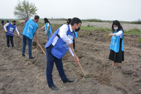 "​​​​​​​Yaşıl Marafon" çərçivəsində növbəti ağacəkmə aksiyaları keçirilib - FOTO