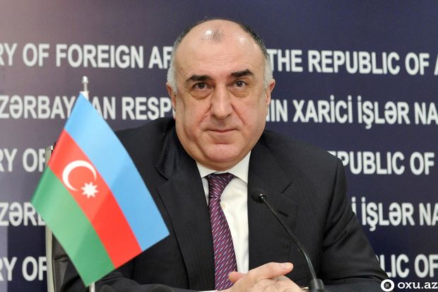 Elmar Məmmədyarov: "Onsuz da bura gələndə karantinə alınacaqlar, elə orada qalsınlar" - VİDEO