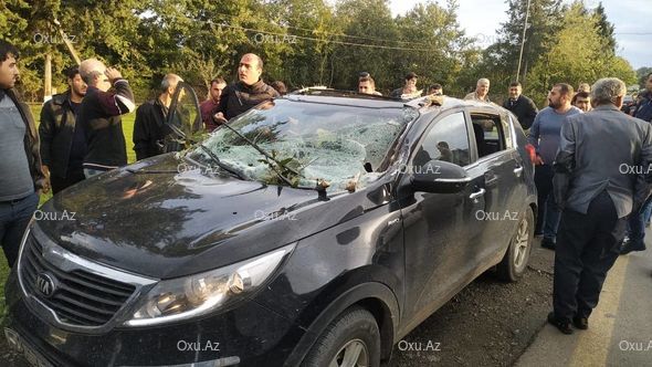 Lənkəranda palıd hərəkətdə olan maşının üstünə aşdı - FOTO