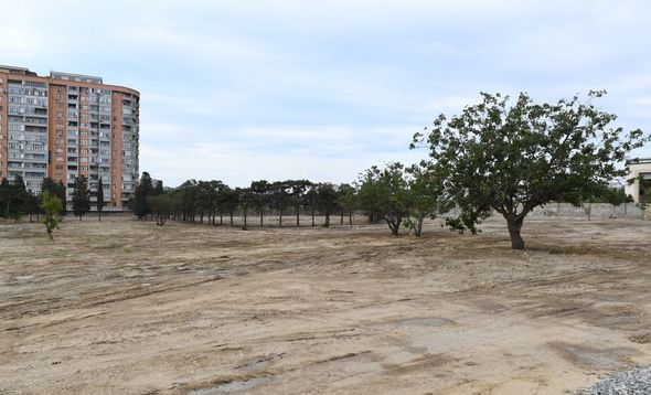 İlham Əliyev və Mehriban Əliyeva meşə tipli yeni parkda görüləcək işlərlə tanış olublar - FOTO