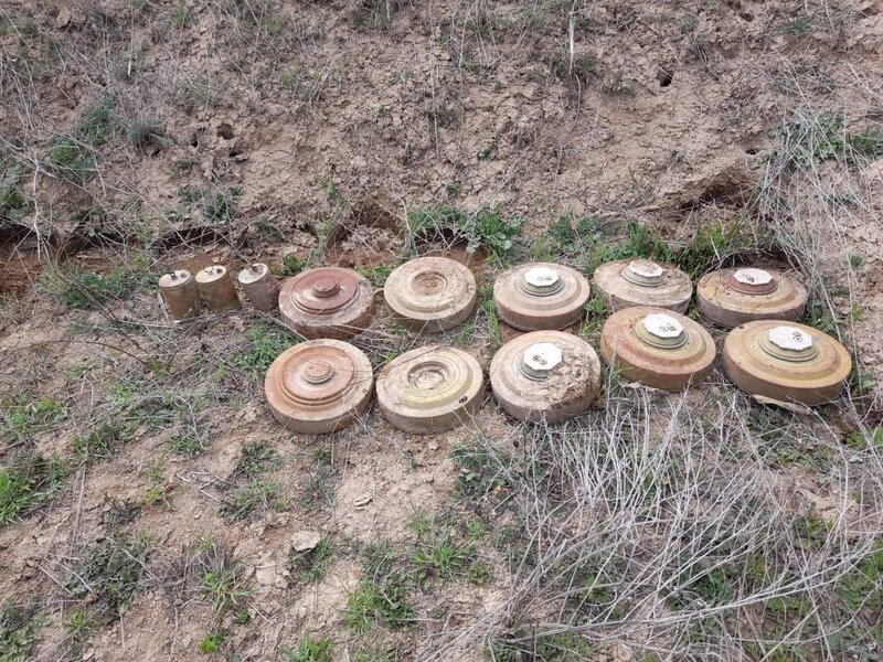 Laçın polisi bir kənddən 78 mina aşkarladı - FOTO