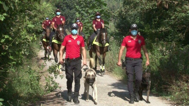 Türk polisi HƏRƏKƏTƏ KEÇDİ: meşələrə bu yolla nəzarət ediləcək