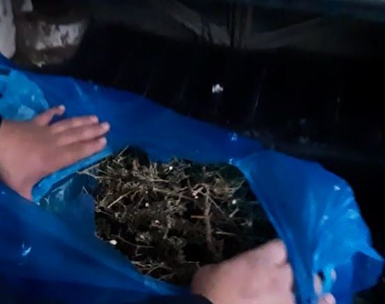Keçmiş məhkumun avtomobilindən külli miqdarda narkotik götürülüb - FOTO