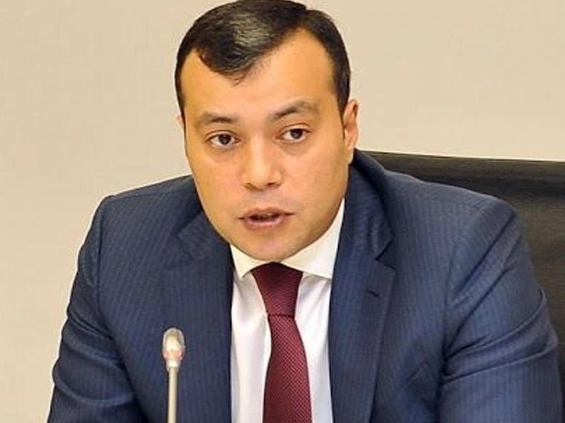 Sahil Babayev: "Sahibkarlar distant iş modelindən istifadə edə bilərlər